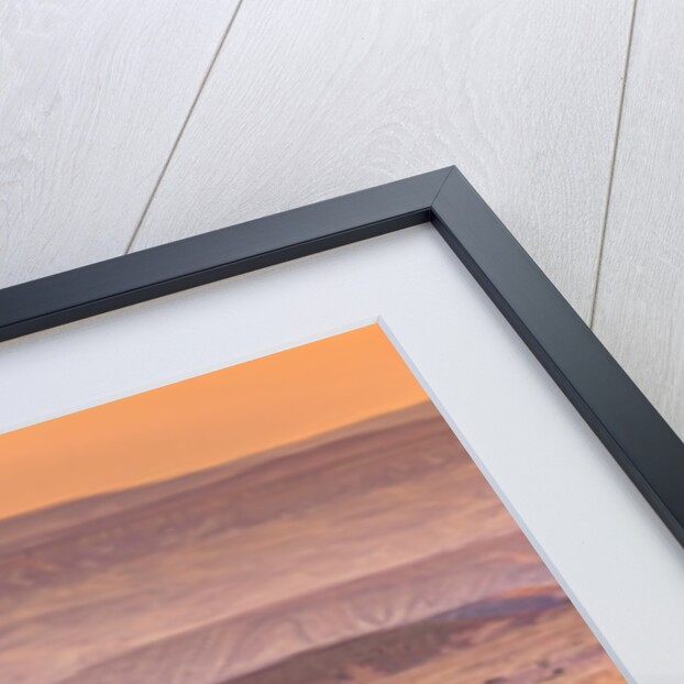 Highway through desert by Assaf Frank